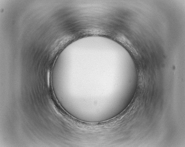 X0000089400014200706150926