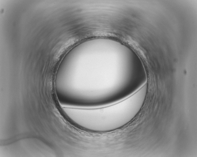 X0000089400015200706150926