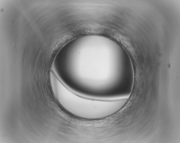 X0000089400017200706150926
