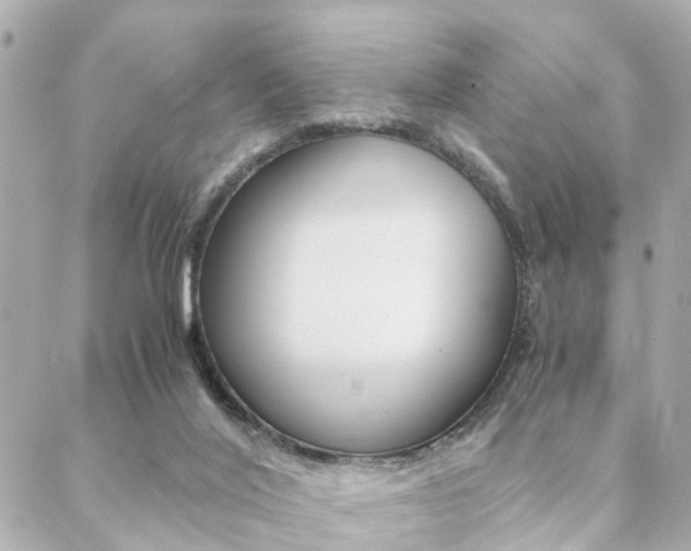 X0000089400020200706150926