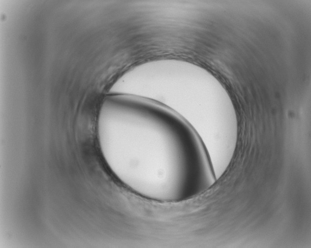 X0000089400039200706150925