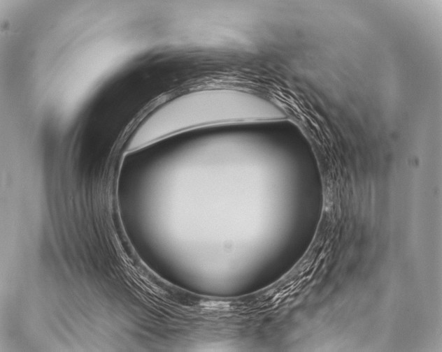 X0000089400052200706150925