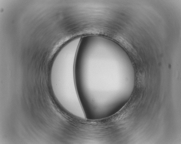X0000089400064200706150925