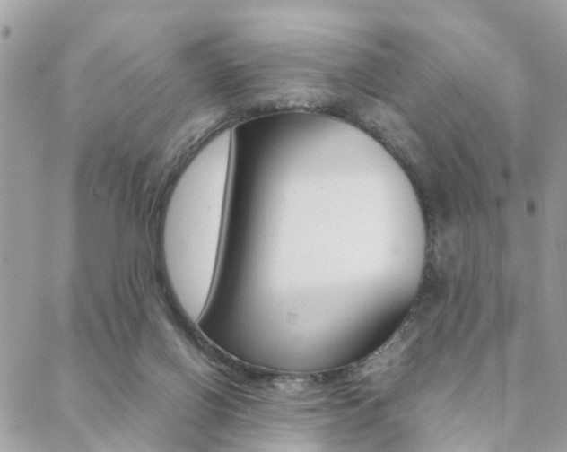 X0000089400070200706150925