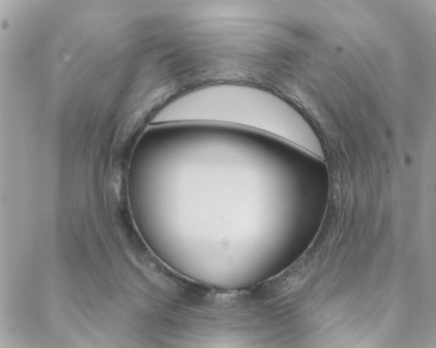 X0000089400072200706150925