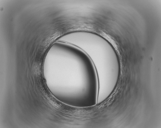 X0000089400105200706150924