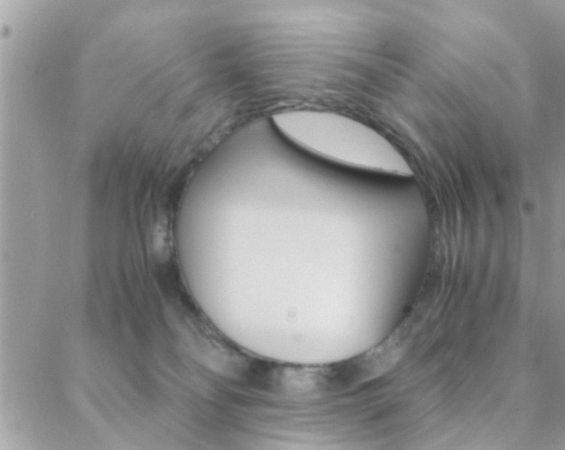 X0000089400134200706150924