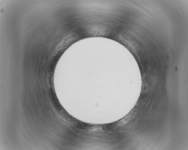 X0000089400162200706150923