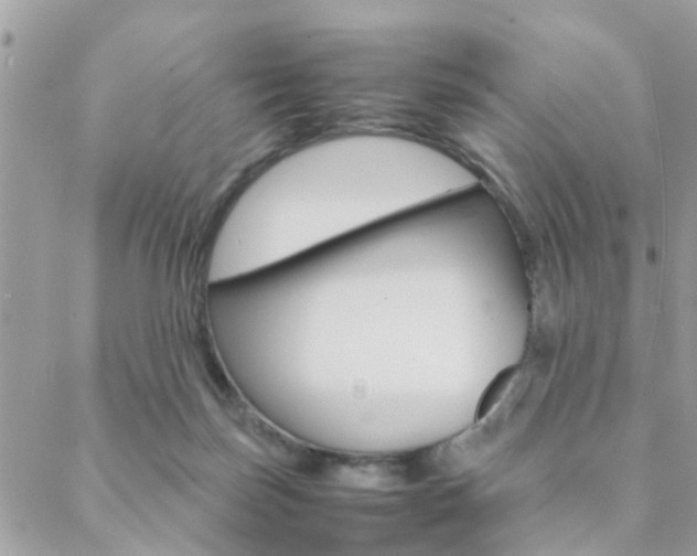 X0000089400171200706150923