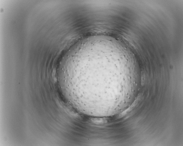 X0000089400187200706150924
