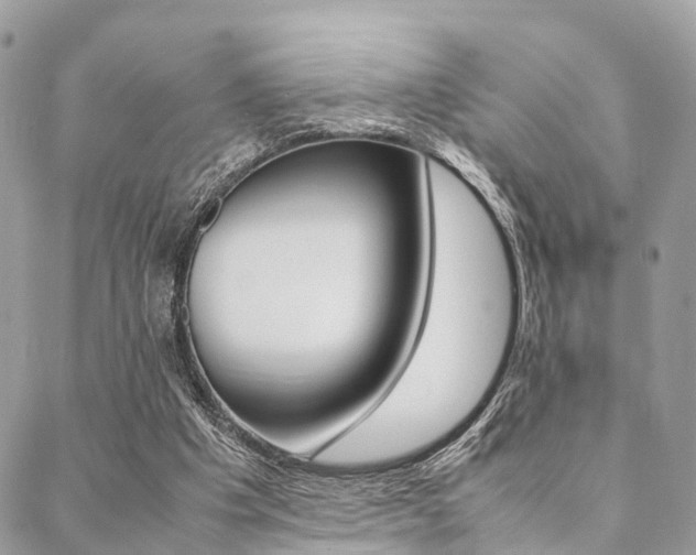 X0000089400201200706150923