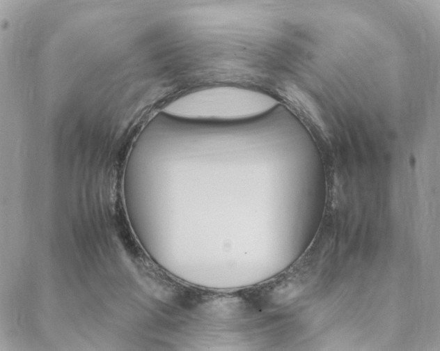 X0000089400210200706150923