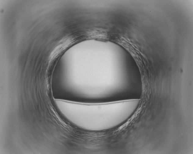 X0000089400245200706150921