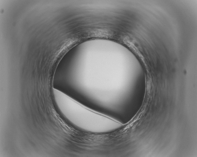 X0000089400249200706150921