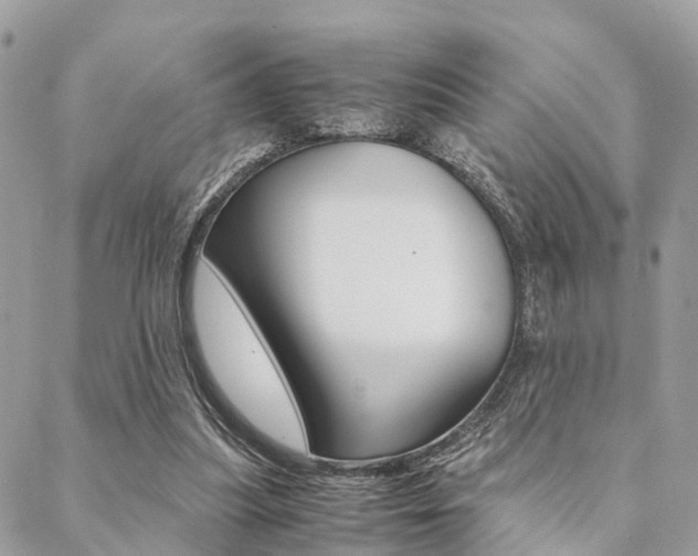 X0000089400251200706150922