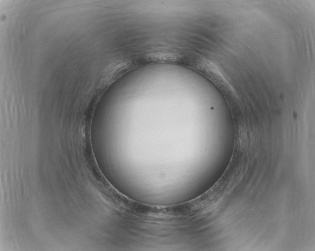 X0000089400259200706150922