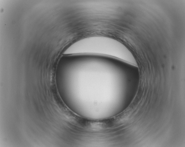 X0000089400268200706150922