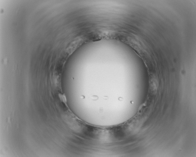 X0000089400276200706150922