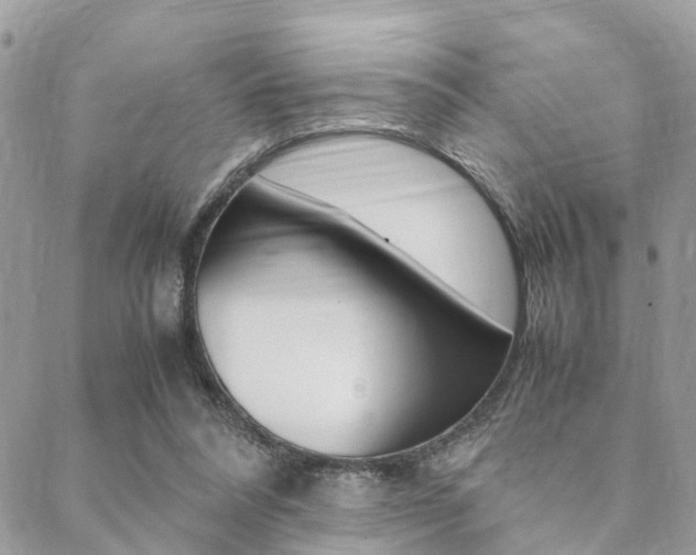 X0000089400304200706150921