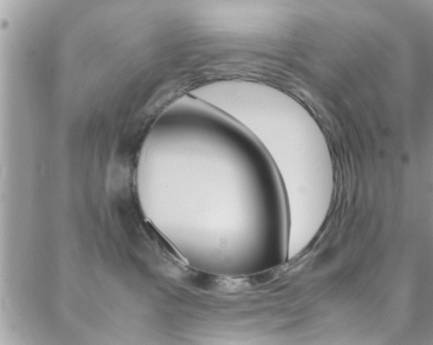X0000089400333200706150921