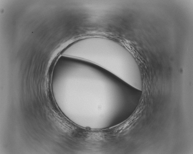 X0000089400342200706150920