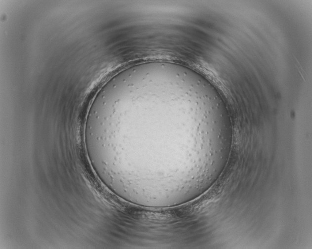 X0000089400347200706150920