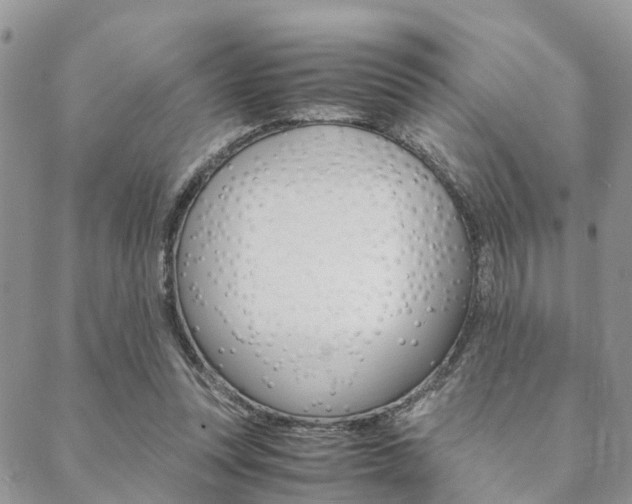 X0000089400351200706150920