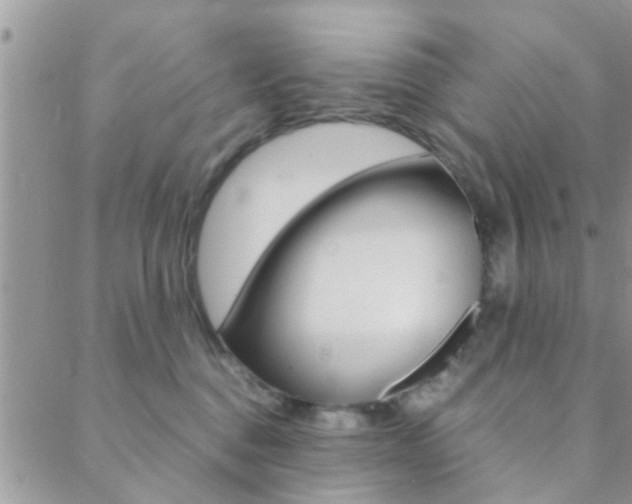 X0000089400376200706150920