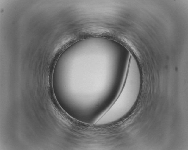 X0000089400399200706150920