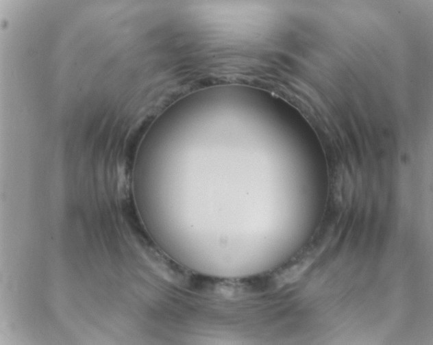 X0000089400420200706150919