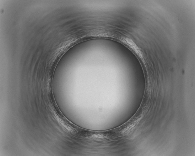 X0000089400441200706150918