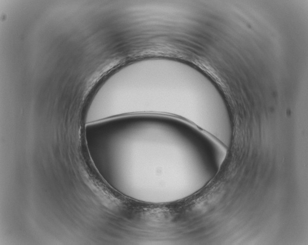 X0000089400446200706150918