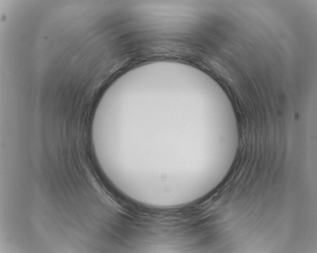X0000089400456200706150919