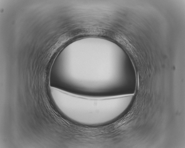 X0000089400483200706150918