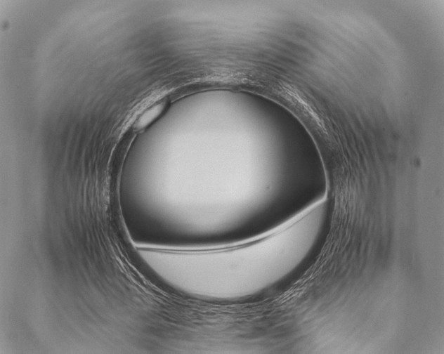 X0000089400484200706150918