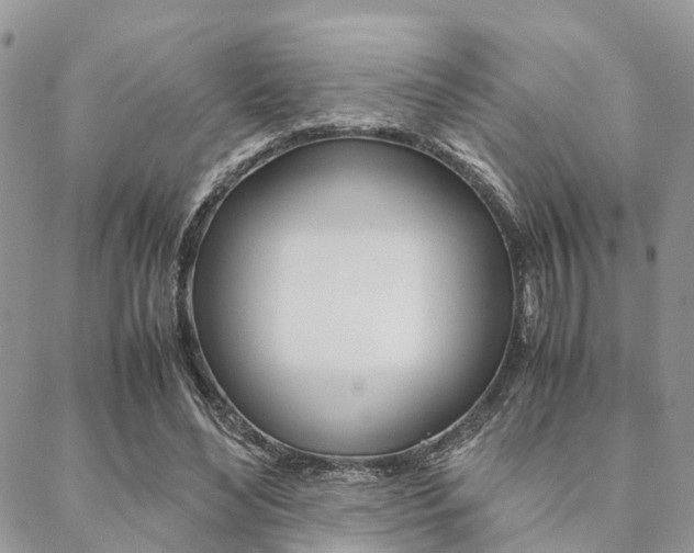X0000089400492200706150918