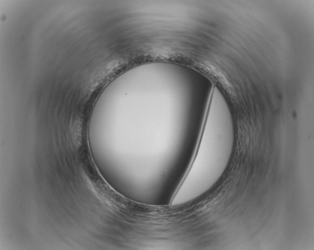 X0000089400496200706150918