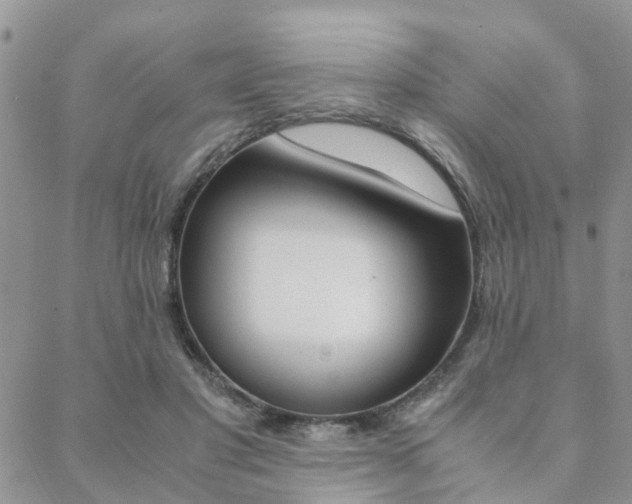 X0000089400501200706150918