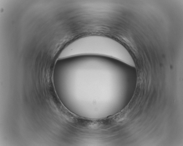 X0000089400504200706150918