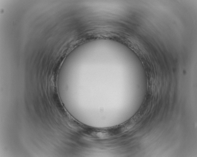 X0000089400506200706150918