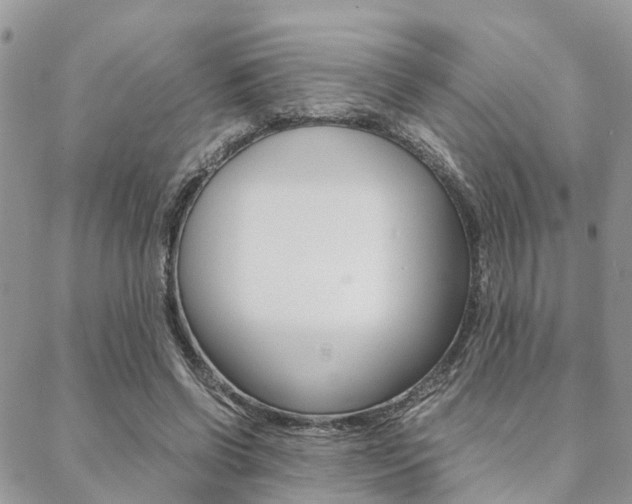 X0000089400542200706150917