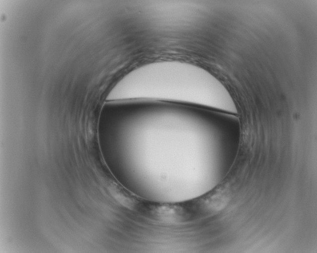 X0000089400566200706150917