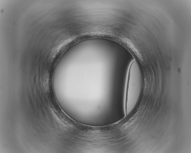 X0000089400588200706150917