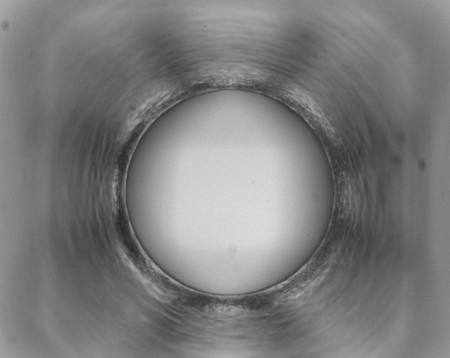 X0000089400590200706150916