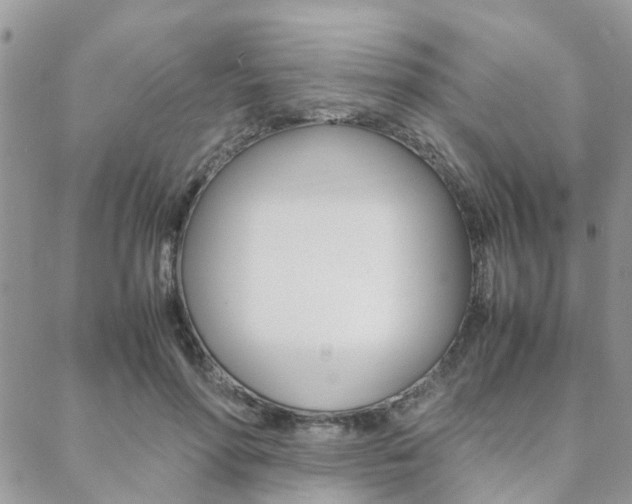 X0000089400598200706150916