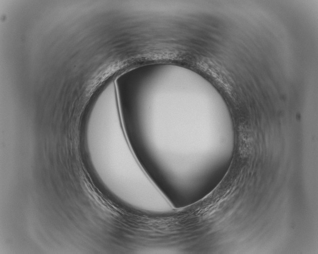 X0000089400631200706150915