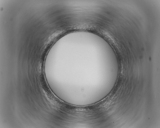 X0000089400636200706150915