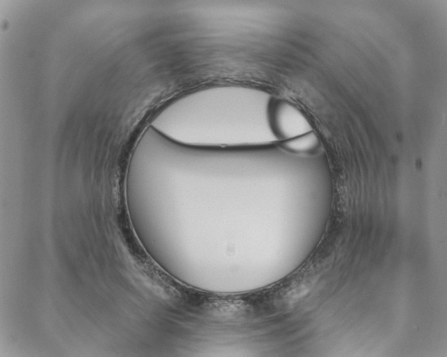 X0000089400642200706150915