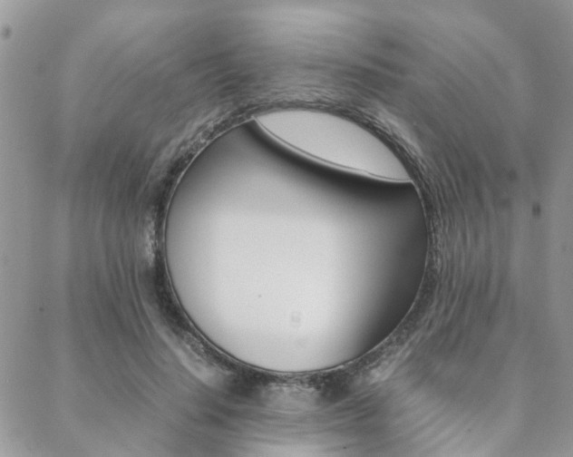 X0000089400644200706150915