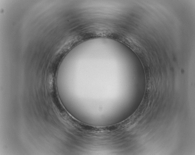 X0000089400646200706150915